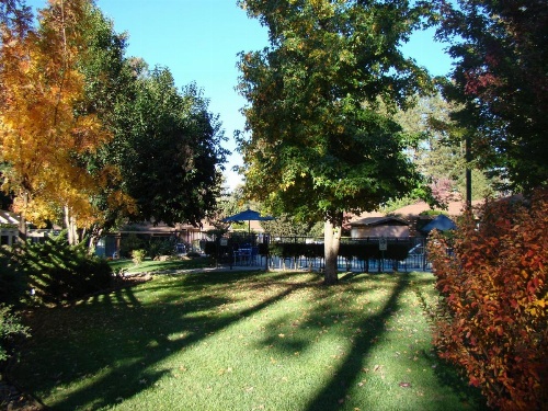 Ponderosa Gardens Motel image 11