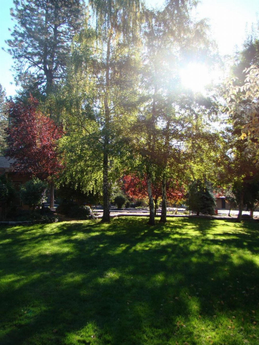 Motel Jardines Ponderosa Imagen 13