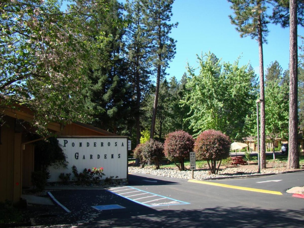 Motel Jardines Ponderosa Imagen 14
