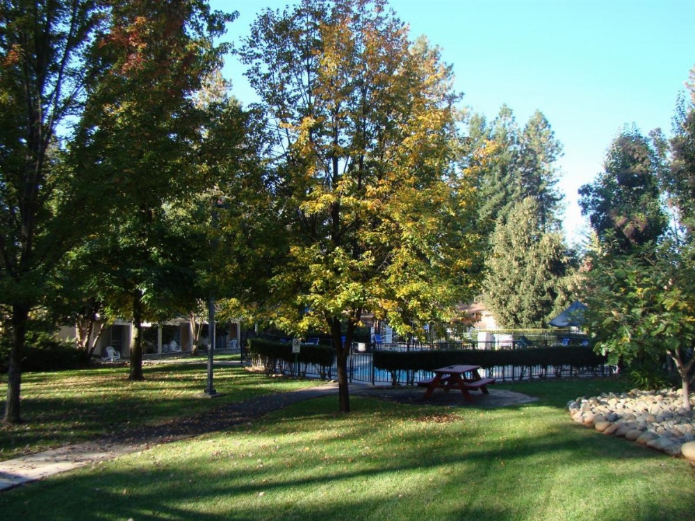 Motel Jardines Ponderosa Imagen 16