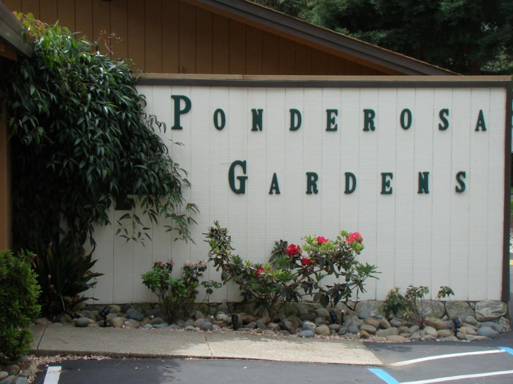 Motel Jardines Ponderosa Imagen 26