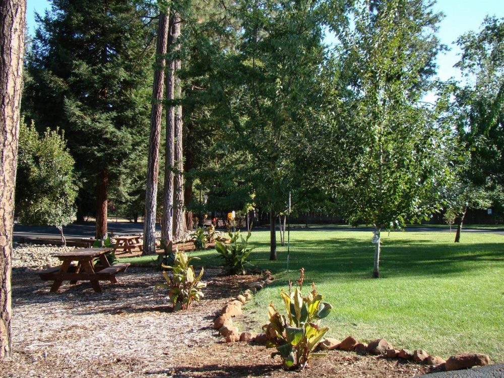 Ponderosa Gardens Motel Main image