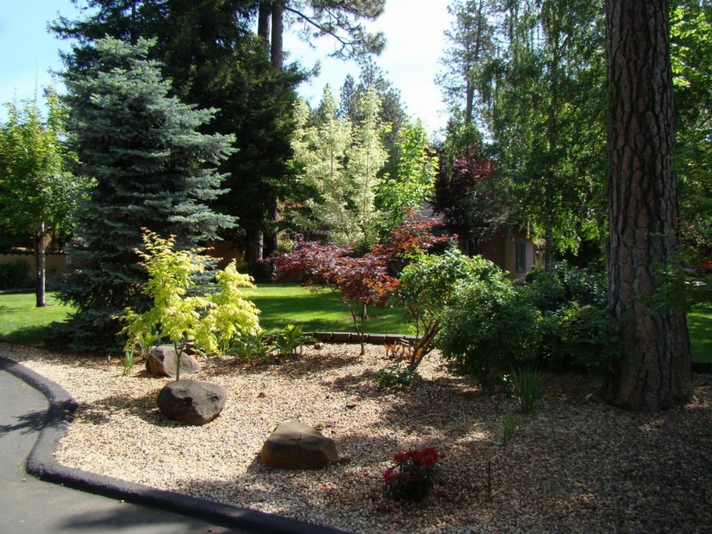 Motel Jardines Ponderosa Imagen 32