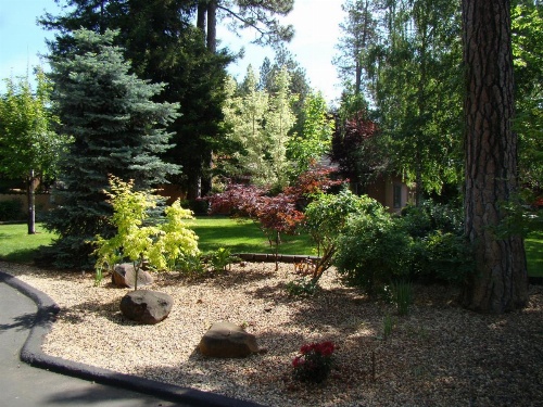 Ponderosa Gardens Motel image 32
